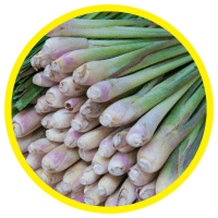 Phân Biệt Và Hướng Dẫn Sử Dụng Tinh Dầu Sả Các Loại