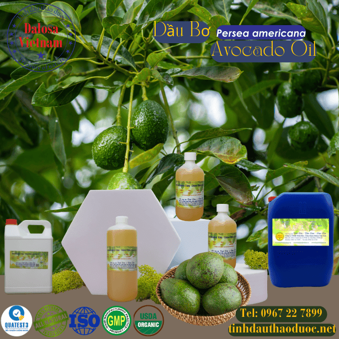 Dầu Bơ - Avocado Oil 1 Dầu Bơ - Avocado 1 lít