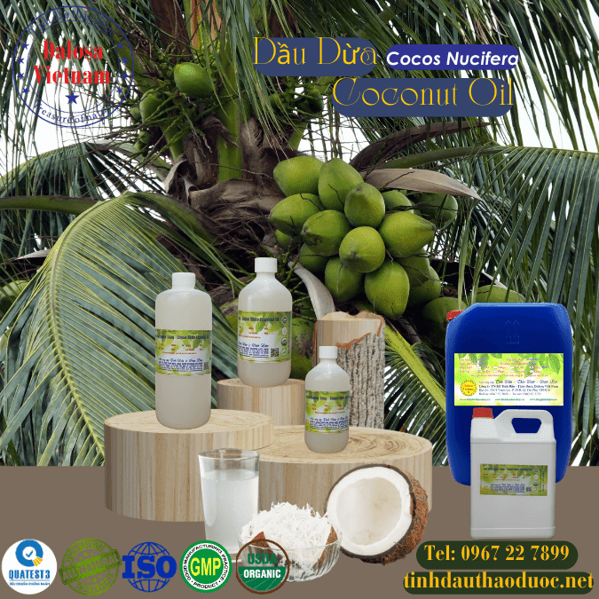 Dầu Dừa - Coconut Oil 1 Dầu Dừa - Coconut 1 lít