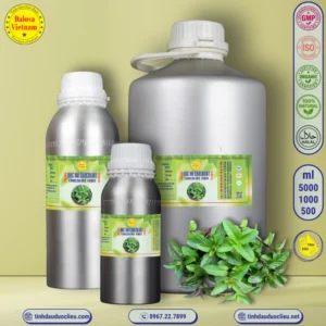 tinh dau bac ha socola bac ha chocolate – socola mint chocolate mint essential oil 2