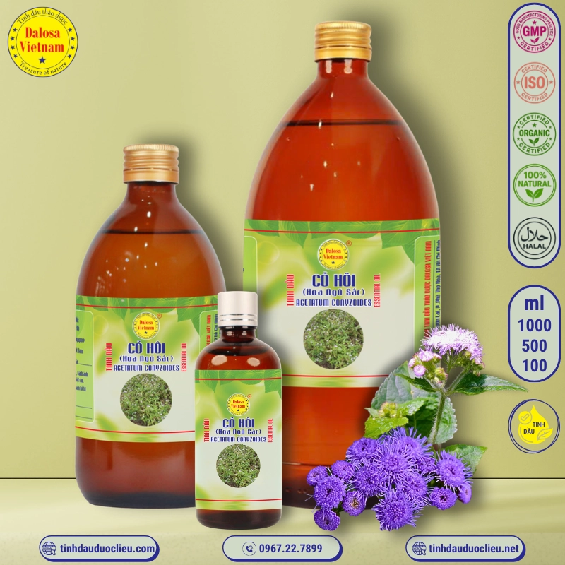 Tinh Dầu Cỏ Hôi - Hoa Ngũ Sắc - Ageratum Conyzoides Essential Oil 1 tinh dau co hoi hoa ngu sac – ageratum conyzoides essential oil