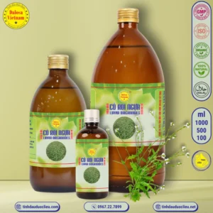 tinh dau co roi ngua ma tien thao – lippia origanoides essential oil