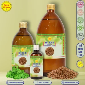 Tinh Dầu Hạt Ngò Ta - Mùi Ta - Coriander Essential Oil