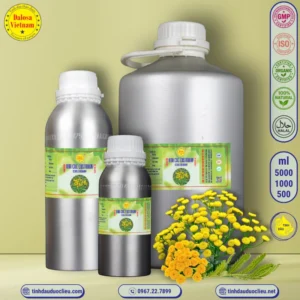 Tinh Dầu Hoa Cúc Costmary - Costmary Essential Oil