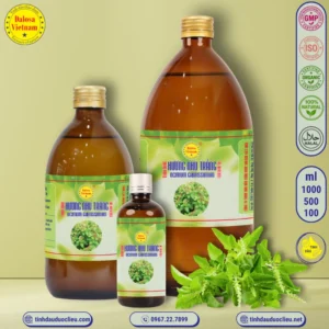 tinh dau huong nhu trang holy basil ocimum gratissimum essential oil