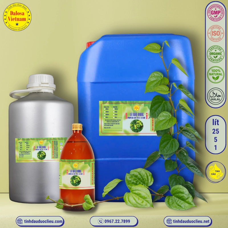 Tinh Dầu Lá Trầu Không - Piper Betle Leaf Essential Oil 3 tinh dau la trau khong piper betle leaf piper betel essential oil 3