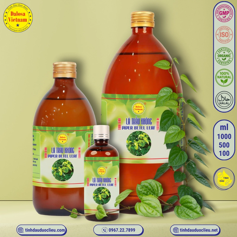 Tinh Dầu Lá Trầu Không - Piper Betle Leaf Essential Oil 1 tinh dau la trau khong piper betle leaf piper betel essential oil