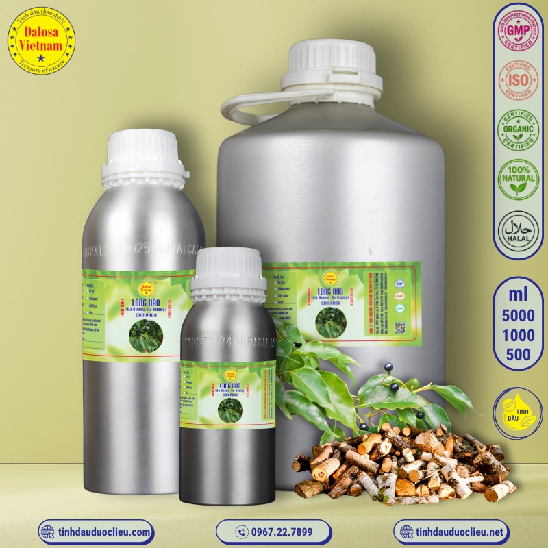 Tinh Dầu Dã Hương - Rã Hương - Ravintsara Essential Oil 2 tinh dau long nao da huong ra huong camphor ho cinnamonum camphors essential oil 2