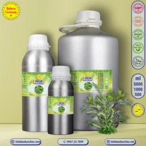 Tinh Dầu Ngải Cứu - Thuốc Cứu - Armoise Essential Oil