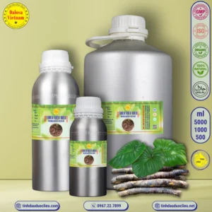 Tinh Dầu Thiên Niên Kiện - Homalomena Occulta Essential Oil 5 tinh dau thien nien kien homalomena occulta essential oil 2