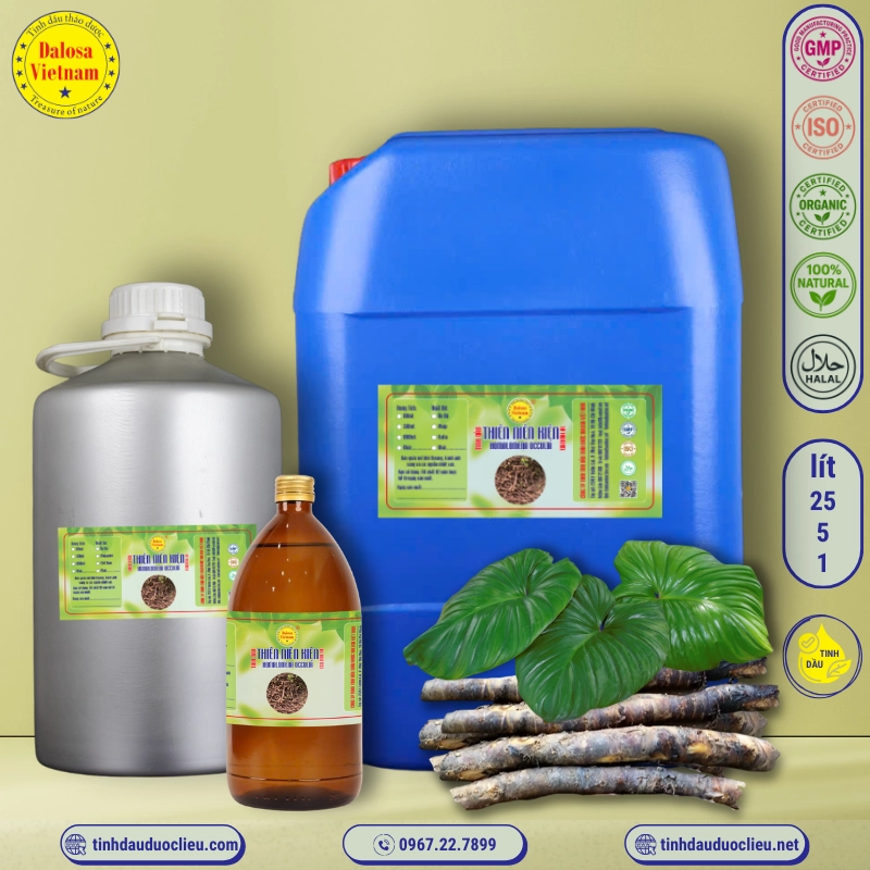 Tinh Dầu Thiên Niên Kiện - Homalomena Occulta Essential Oil 1 tinh dau thien nien kien homalomena occulta essential oil 3