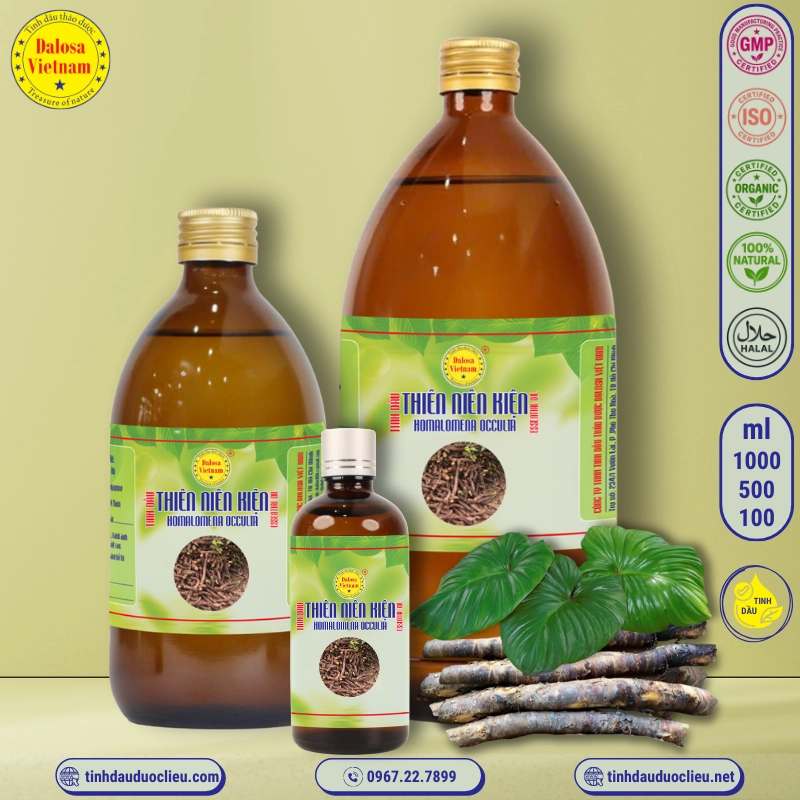 Tinh Dầu Thiên Niên Kiện - Homalomena Occulta Essential Oil 2 tinh dau thien nien kien homalomena occulta essential oil