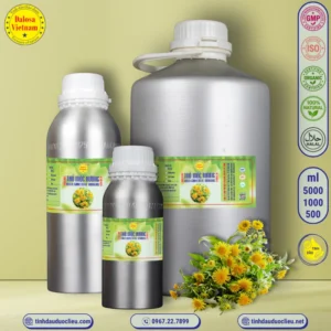 tinh dau tho moc huong odorous inula essential oil 2