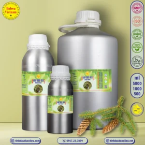 Tinh Dầu Vân Sam Đen - Black Spruce Essential Oil