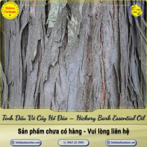 Tinh Dầu Vỏ Cây Hồ Đào – Hickory Bark Essential Oil