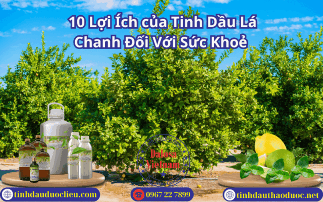 10 Lợi Ích của Tinh Dầu Lá Chanh Đối Với Sức Khoẻ