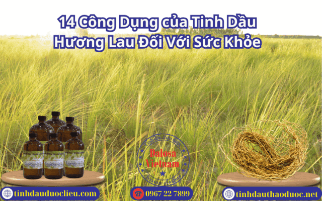 14 Công Dụng của Tinh Dầu Hương Lau Đối Với Sức Khỏe