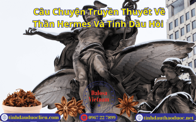 Câu Chuyện Truyền Thuyết Về Thần Hermes Và Tinh Dầu Hồi