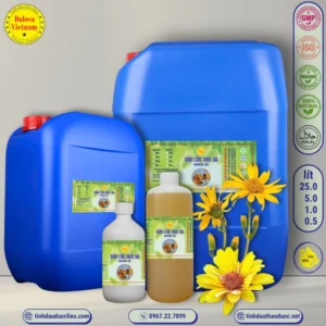 Dầu Cúc Kim Sa – Arnica Oil