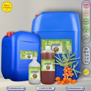 Dầu Hắc Mai Biển – Sea Buckthorn Oil