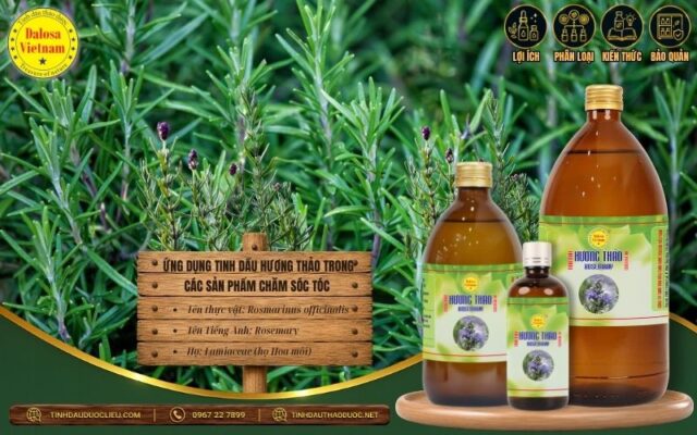 Ứng dụng tinh dầu hương thảo vào các sản phẩm chăm sóc tóc