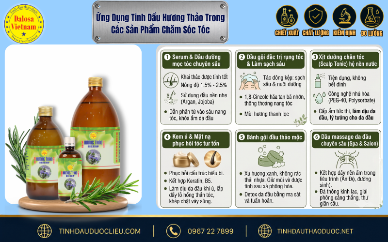 Đồ họa ứng dụng tinh dầu hương thảo trong các sản phẩm chăm sóc tóc Dalosa Vietnam