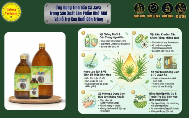 Đồ họa ứng dụng tinh dầu sả Java trong sản xuất sản phẩm khử mùi và xua đuổi côn trùng Dalosa Vietnam