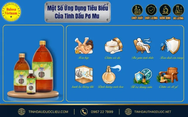 Khám Phá 12 Công Dụng Phổ Biến Của Tinh Dầu Pơ Mu 2 Ứng dụng của tinh dầu pơ mu trong chăm sóc cá nhân, thư giãn và tạo hương