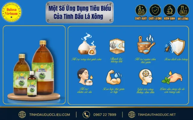 12 Ứng Dụng Phổ Biến Của Tinh Dầu Lá Xông 2 Ứng dụng phổ biến của tinh dầu lá xông trong xông hương, thư giãn và chăm sóc cá nhân