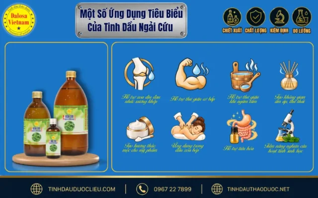 12 Ứng Dụng Đáng Chú Ý Của Tinh Dầu Ngải Cứu 2 Ứng dụng của tinh dầu ngải cứu trong massage, chăm sóc cá nhân và sản phẩm thảo dượ